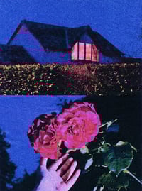Image 2 of PICK ROSES AT NIGHT 
