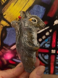 Image 2 of Sam Squirel