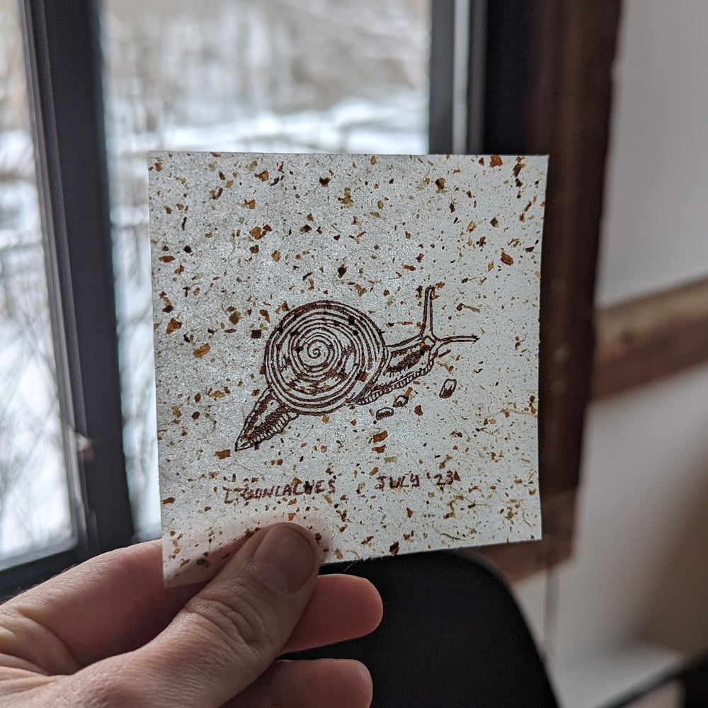 Image of White Lipped Snail print - 3.5"