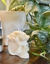 Rose Crown Skull Candle 