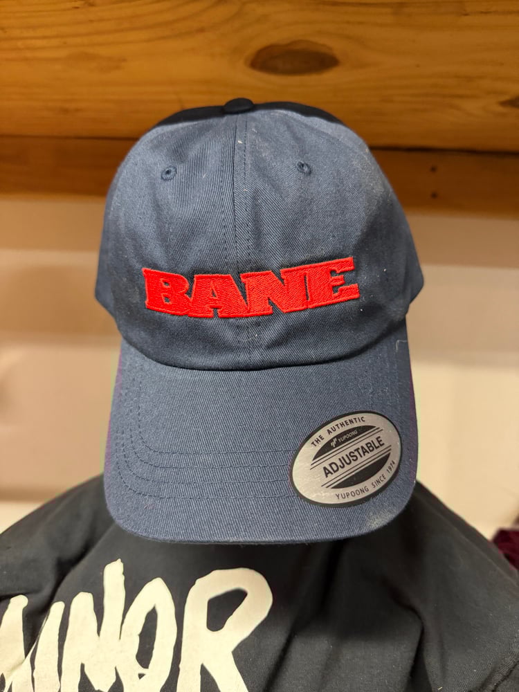 BANE Navy blue logo hat
