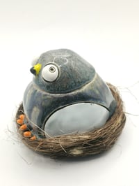 Image 3 of Pigeon 4