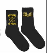 Image of H2O NTP SOCKS