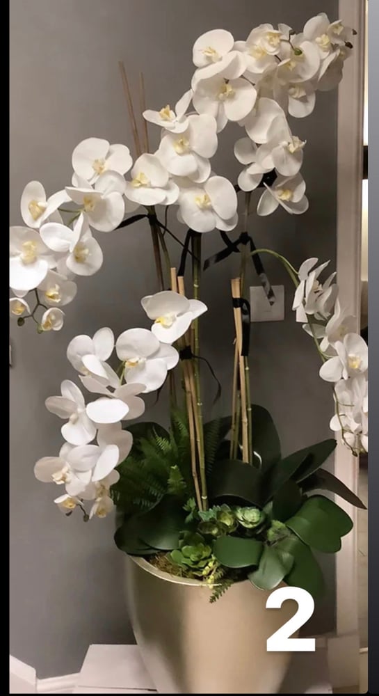 Image of The real touch floor standing orchid with lots of foliage 