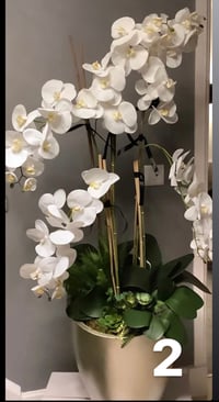 Image 1 of The real touch floor standing orchid with lots of foliage 