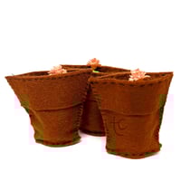 Image 4 of Worry Beans: Earth