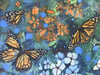 Monarchs at Dusk (Print) 