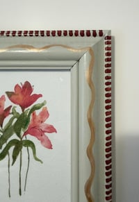 Image 2 of Alostromeria 