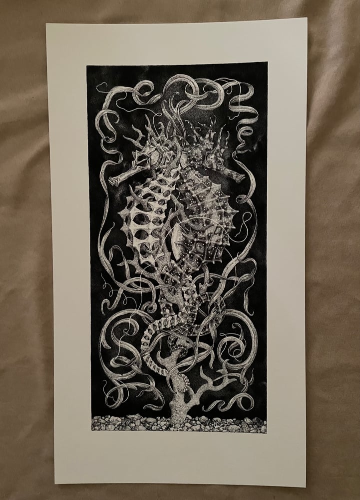 Image of Seahorses Past + Present print