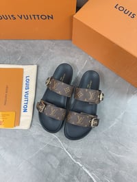 Image 1 of LV brown slides