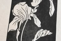 Image 2 of German Iris ✦ Linocut Print