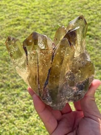 Image 4 of Smoky Citrine Points Cluster #1877