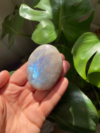 Image 2 of Moonstone Palm Crystal (7)