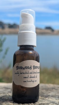 Image 3 of Seaweed Serum
