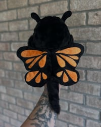 Image 4 of Monarch Dragon