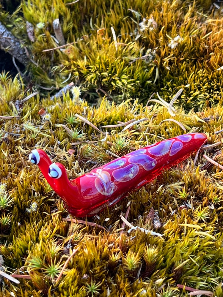 Image of Red Boro Slug