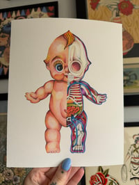 BABY ANATOMY!