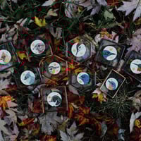 Image 1 of Bird Collection- Paintings