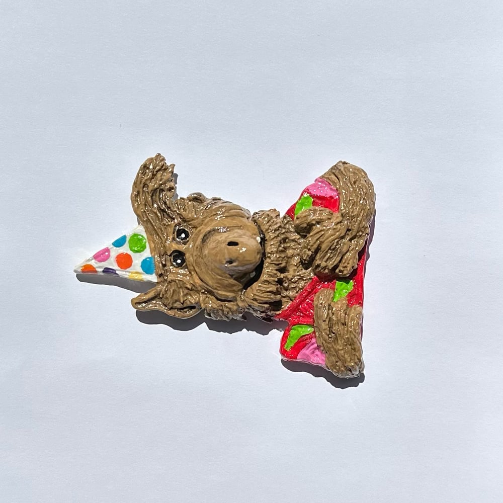 ALF Magnet