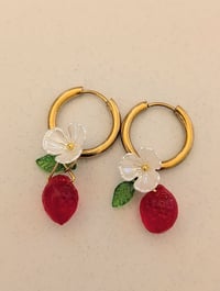 Image 1 of Créoles fraisou