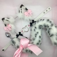 Snow Leopard White / Black Kitten 🐈‍⬛🐾