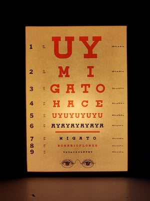 Image of Agudeza visual. Rosario Flores.