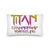 Titan/Goddesses Pillow 