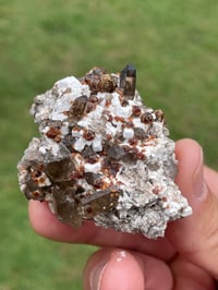 Image 1 of Smoky Quartz & Garnets On Feldspar Specimen #1907