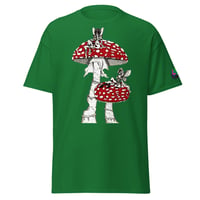 Image 2 of fairies on mushies