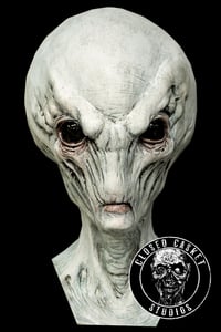 Visitor