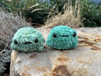 Image 4 of Bufo Toad