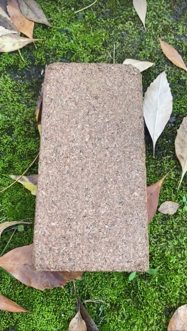 Image of Coco Coir