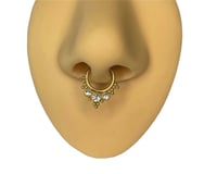 Crown Septum