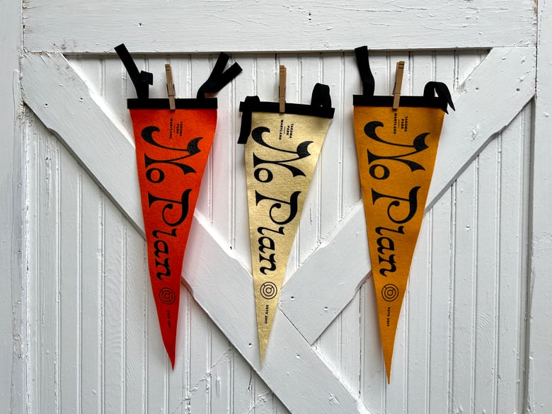 Image of No Plan Pennant