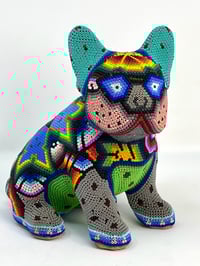 Image 1 of French Bulldog Puppy Vol 3 004