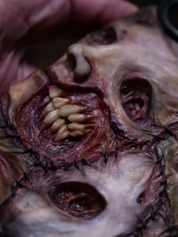 Image 10 of Custom commission iPhone 17 Pro Max Ed Gein phone cover