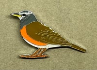 Image 2 of Eye-browed Thrush - December 2021 - UK Birding Pins - Enamel Pin Badge