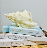 Image 1 of Conch shell Pillar Candle