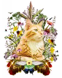 Image 3 of Decals/Stickers