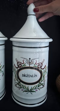 Image 1 of Très grand pot d’apothicaire, de la fin du XIXème siècle, porcelaine peinte: Digitalis