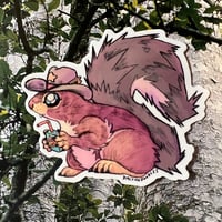 Texas Squirrel Sticker