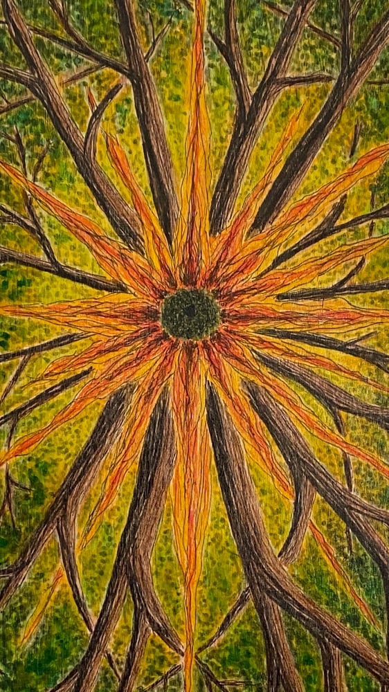 Image of Nexus Burst, 8" X 16."