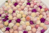 Image 2 of Globe Amaranth Heads - Mixed Colour