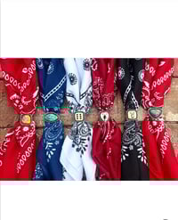 Image 1 of Bandana slides 