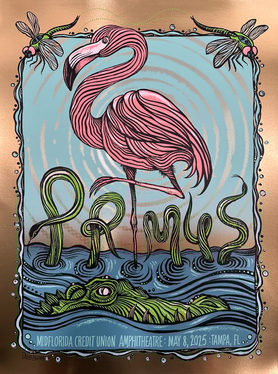 Image of PRIMUS : APs & Variants : Tampa