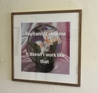 Image 1 of You cannot stop me it doesn’t work like that 