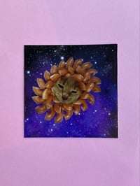 Image 2 of Donut Cat in Space Sticker