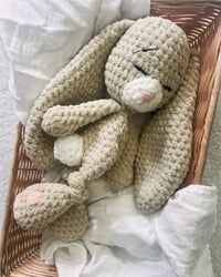 Image 3 of Beck the Bunny