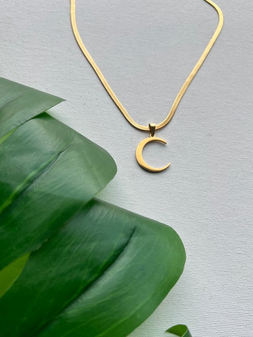 Image of Moony • Moon Pendant Necklace