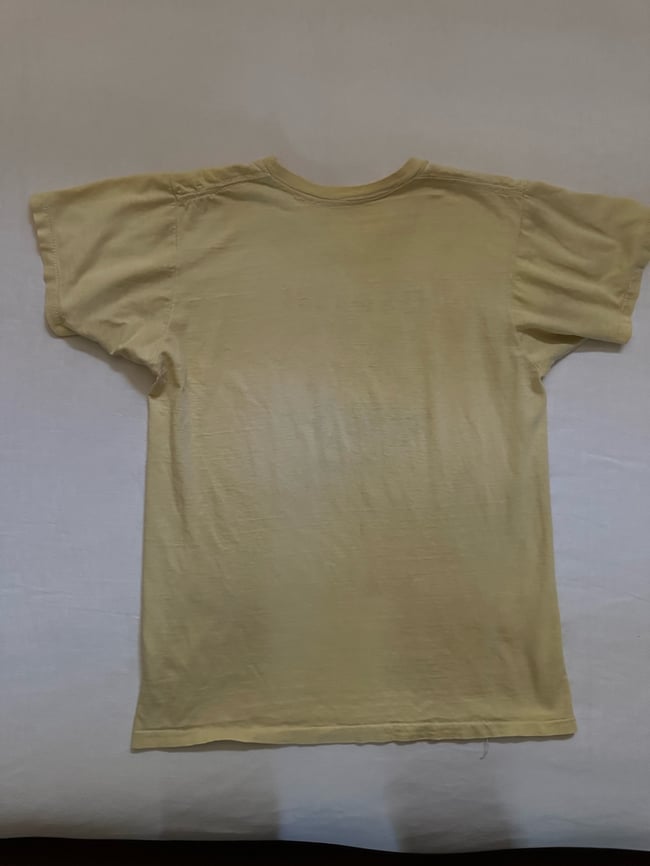 70s Taj Mahal concert t shirt